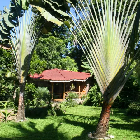Hotel la Costa de Papito