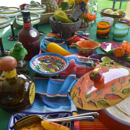 San Felipe Lodge. Birding and Wellness