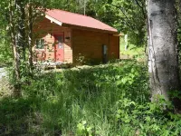 Birch Cabin Hotels in Talkeetna