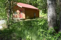 Birch Cabin Hotels in Talkeetna