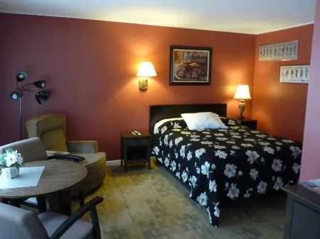 Country Villa Motel Отели в г. Блумер