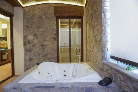 Hotel Pietro Santo Отели в г. Tetlatlahuca