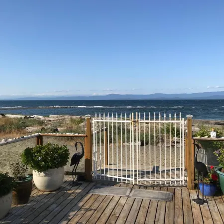 Buena Vista by the Sea