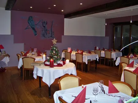 Le Falken Отели в г. Виндштейн