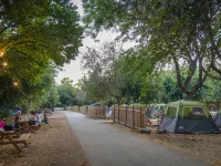 Camping Dafna - by Travel Hotel Chain Hotels in Dafna