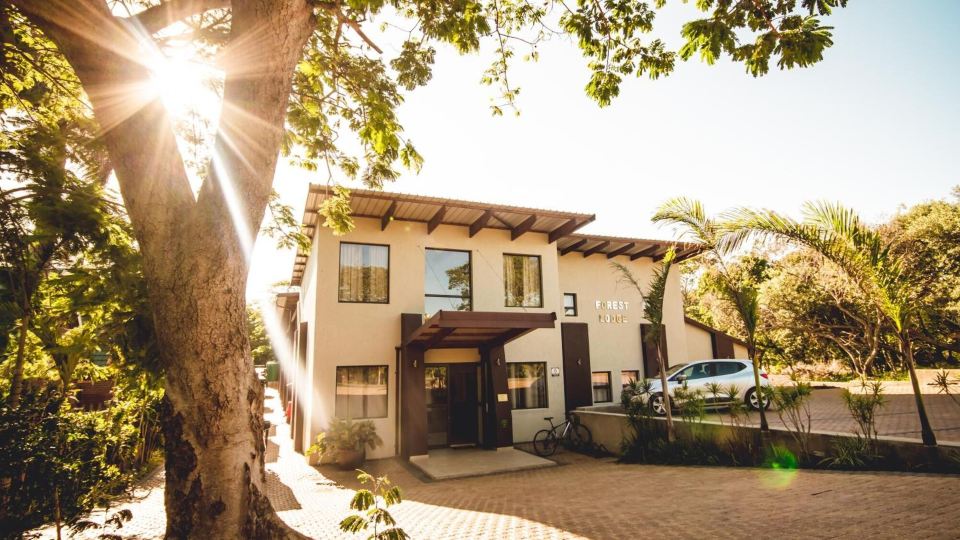 Forest Lodge