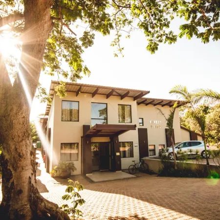 Forest Lodge