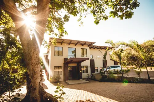 Forest Lodge