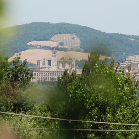 Agriturismo"Il Sagrato di Assisi" Appartamenti,Camere