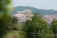 Agriturismo"Il Sagrato di Assisi" Appartamenti,Camere - Mountain View