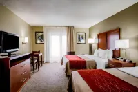 Comfort Inn & Suites at Dollywood Lane