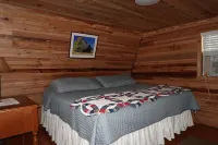 London's Mountain House - Cozy Romantic mountain cabin - easy paved road access