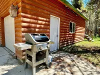 Spruce Fly on Bill's Island! Peaceful Getaway Cozy Fireplace and Trailer Parking