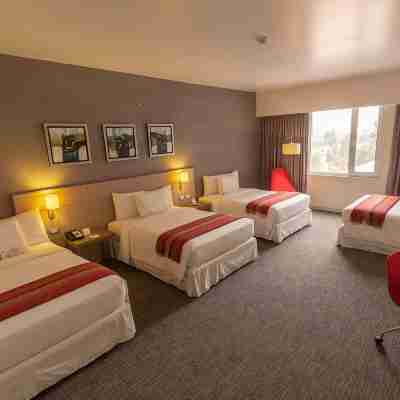 Park Inn by Radisson Tacna Rooms