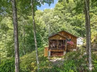 Cozy Mountain Cabin - Amazing View! Central heat/AC, fireplace, firepit