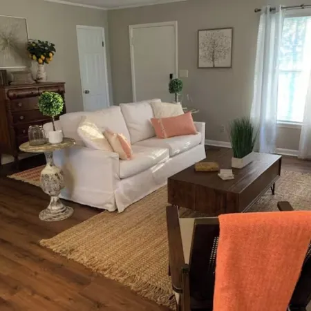 The Owl and Magnolia