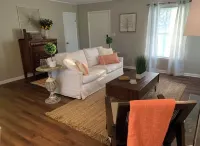 The Owl and Magnolia