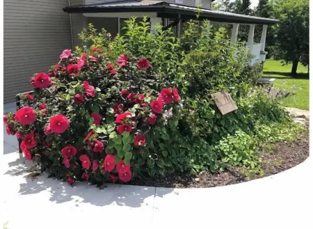 Heritage Guesthouse-peaceful haven at edge of town