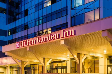 Hilton Garden Inn Krasnoyarsk (Хилтон Гарден Инн Красноярск)