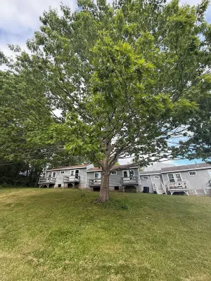 Renovated The Driftwood Cabin at White Anchor Inn Hotels in Boothbay