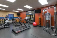 Hampton Inn & Suites Peoria at Grand Prarie - Træningscentre