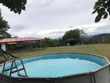 Cabin surrounded by nature at ground level with terrace