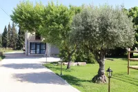 EXCEPTIONAL BED & BREAKFAST IN A PROVENCAL MAS with gourmet breakfast Hotel a Chateaurenard