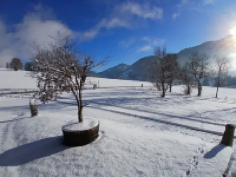 Exclusive flat 103 sqm, free ski & hiking bus directly from the holiday flat