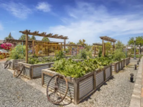 錫達城貝斯特韋斯特優質酒店 錫達城酒店