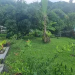 Cosy apartment in the center Hotel a 