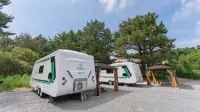 Taean Lily Pension (Water Slide, Camping Terrace, Ott, Kids, Seasoning)