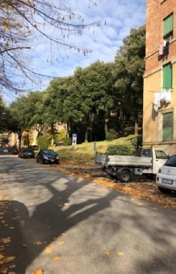 Siena from the Window