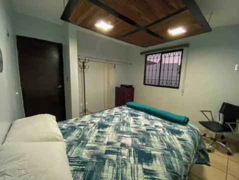 The King's Comfort Flowers