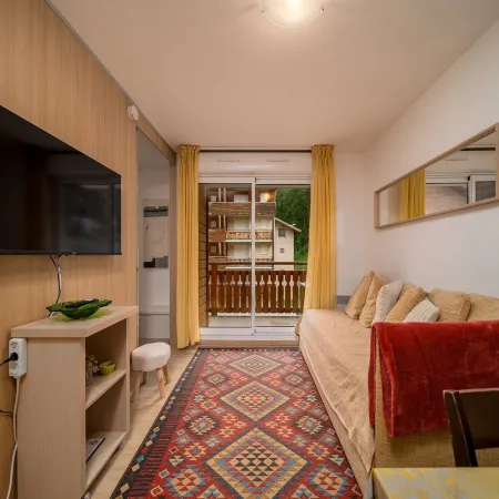 Apartment in France with Ski-In Access