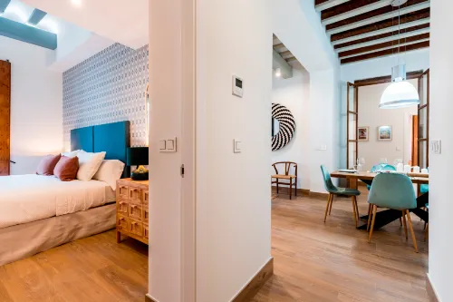 Luxury apartment in cadiz. San Antonio V