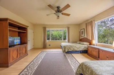 Volcano Forest Inn Hotels in 