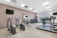 Hilton Garden Inn Gallatin - Gym