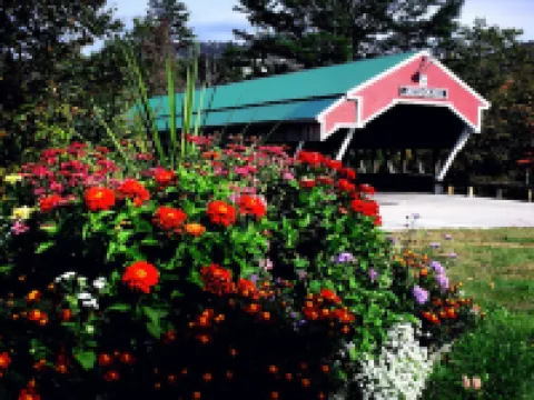 Covered Bridge Riverview Lodge Hotels in Jackson