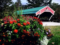 Covered Bridge Riverview Lodge