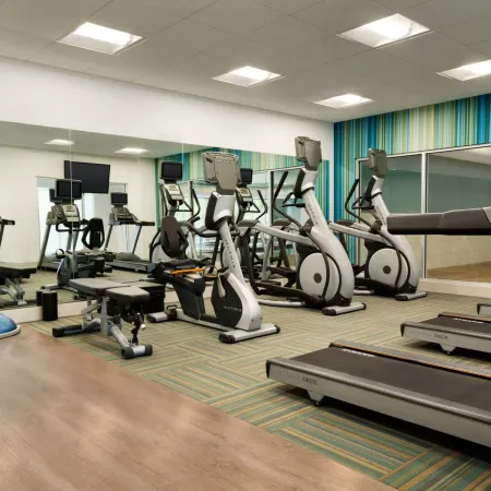 Holiday Inn Express & Suites BRASELTON WEST by IHG
