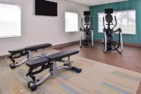Holiday Inn Express & Suites MALL OF AMERICA - MSP AIRPORT by IHG - Phòng tập thể hình