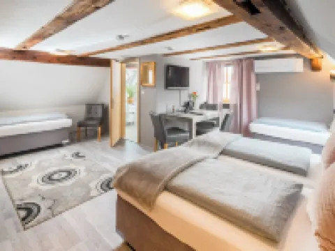 Hotel Nürnberger Hof in Altdorf Hotels in Nurnberger Land