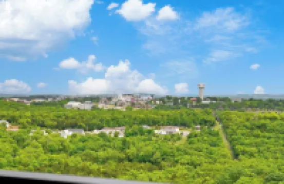 Our Happy Place in the Heart of Branson