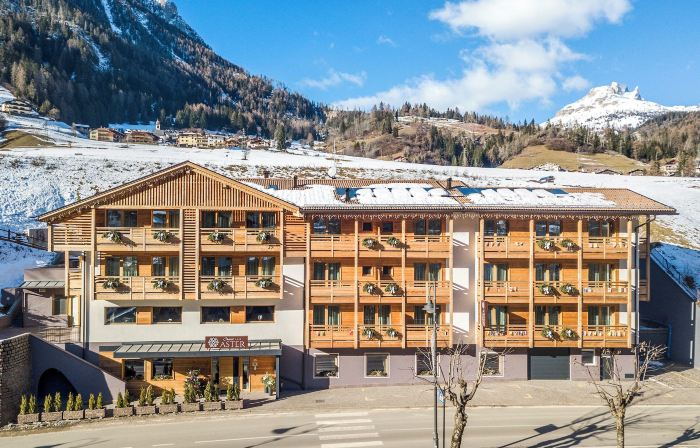Chalet Aster