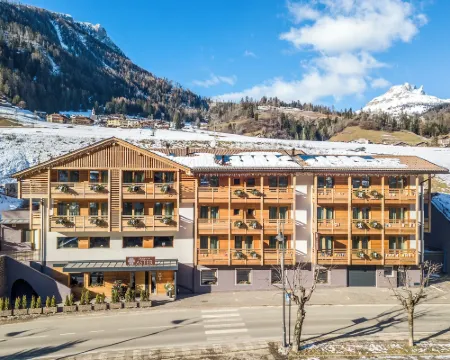 Chalet Aster Hotels in Moena