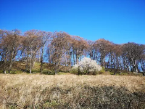 Charming Fisherman's Cottage - By Traum Ferienwohnungen Hotels in Borre