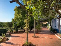 Casa Bungavilia - Roots of Alentejo Hotels in 