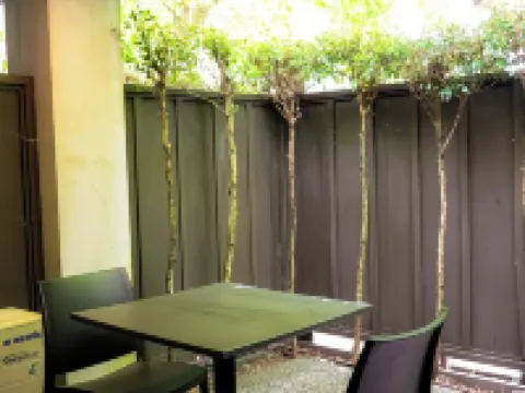 Noa Hotel Hotels near Mount Eden