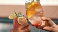 Empyrean Tropical Wellness Portillo - Bares