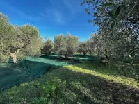 Borgo Riparossa - Farmhouses